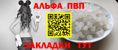 дживик Кингисепп