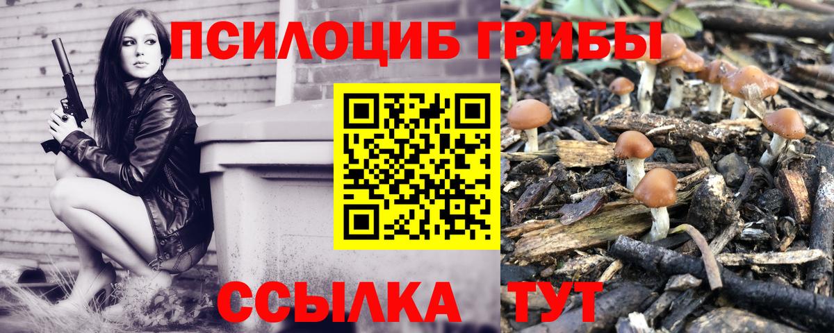 Галлюциногенные грибы Magic Shrooms Котовск